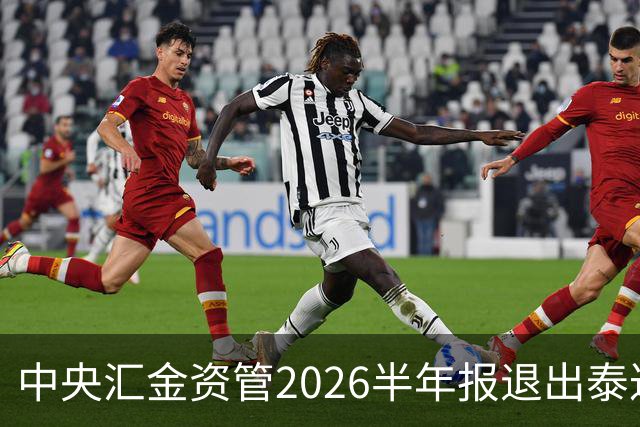 中央汇金资管2026半年报退出泰达股份前十大股东名单
