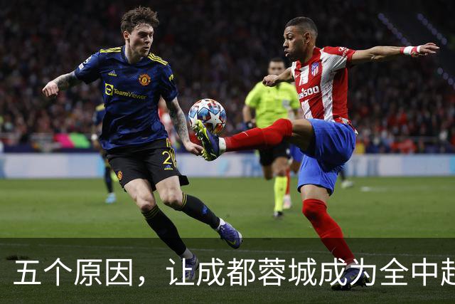 五个原因，让成都蓉城成为全中超公敌，球迷不愿看到他们夺冠