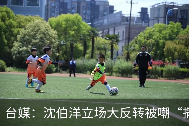 台媒：沈伯洋立场大反转被嘲“撒谎又双标”