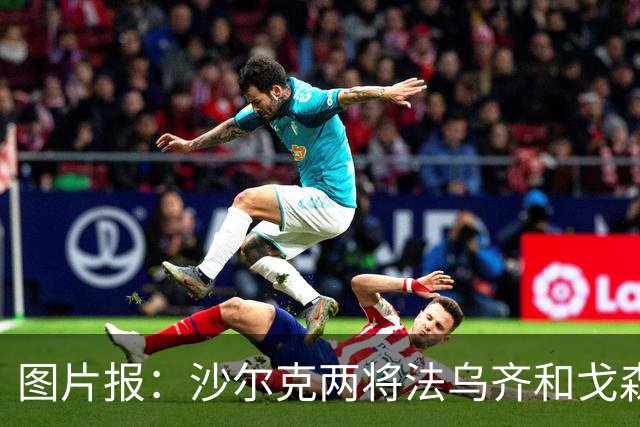 图片报：沙尔克两将法乌齐&戈森斯严重撞伤，将缺席杯赛