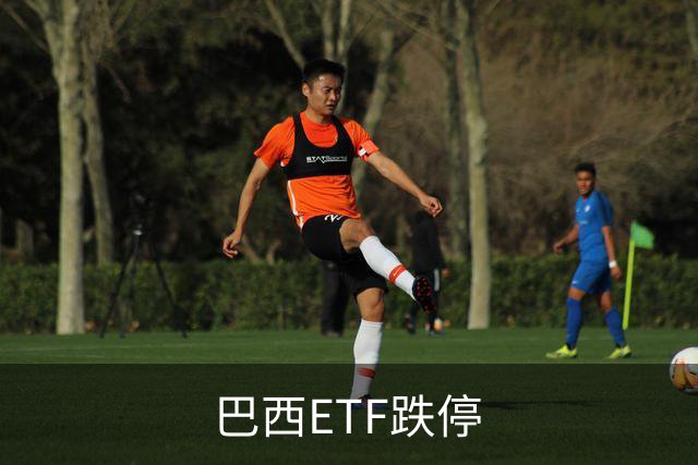 巴西ETF跌停
