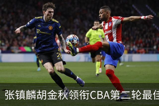 张镇麟胡金秋领衔CBA第二轮最佳阵容 付豪篮板称王