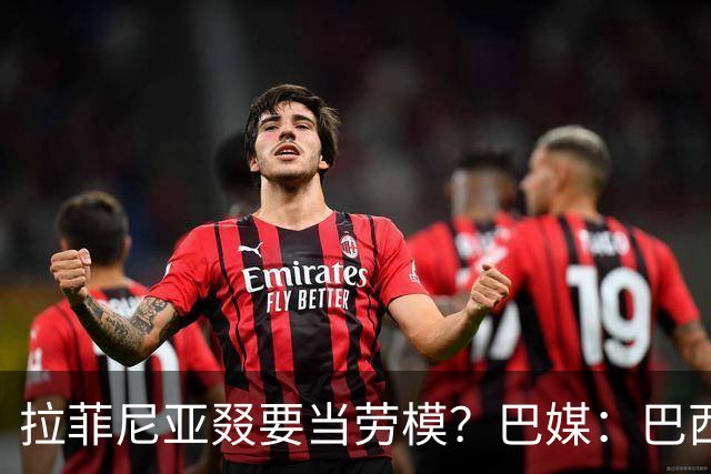 拉菲尼亚叕要当劳模？巴媒：巴西本期名单将不征召大部分巴甲球员