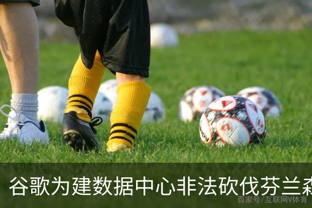 谷歌为建数据中心非法砍伐芬兰森林25万棵树，狼群被迫进村觅食