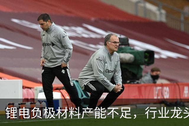 锂电负极材料产能不足，行业龙头杉杉股份拟定增募资不超40亿元加码产能等，海螺集团将全额认购