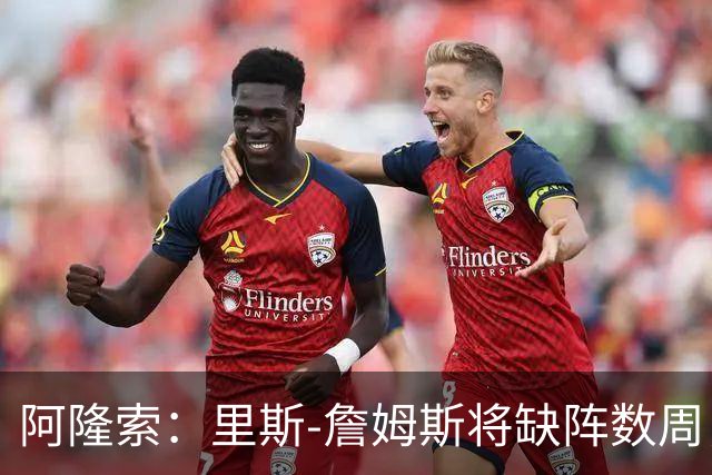 阿隆索：里斯-詹姆斯将缺阵数周，这不会影响冬窗引援计划
