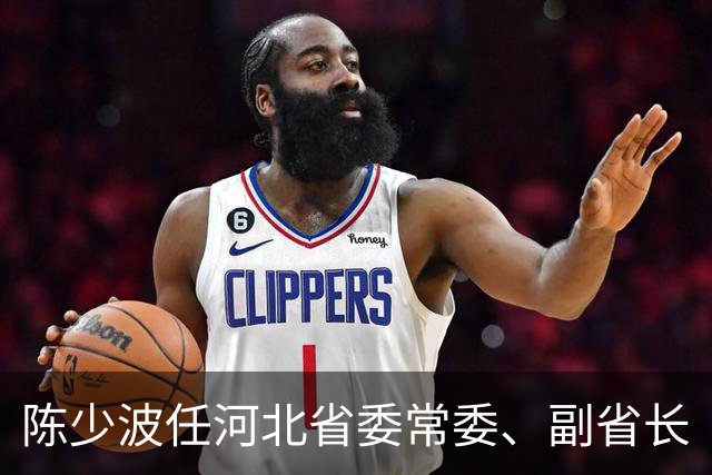 陈少波任河北省委常委、副省长